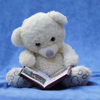 still-life-teddy-white-read-159080.jpeg
